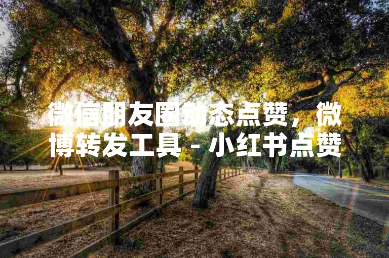 微信朋友圈动态点赞，微博转发工具 - 小红书点赞服务 - 快手视频播放量提升24小时自助平台。