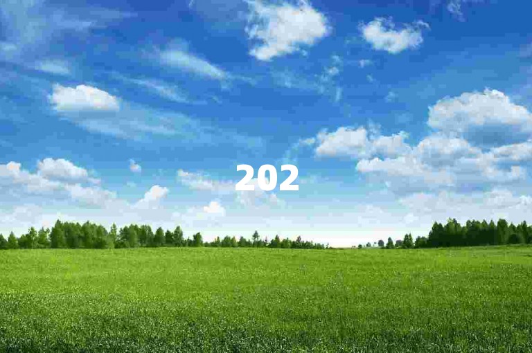 2025年，拼多多店铺运营交流群{电商互助社区}。