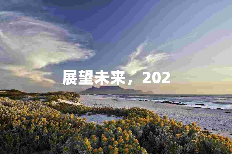 展望未来，2025年拼多多砍价互助群的发展趋势剖析。