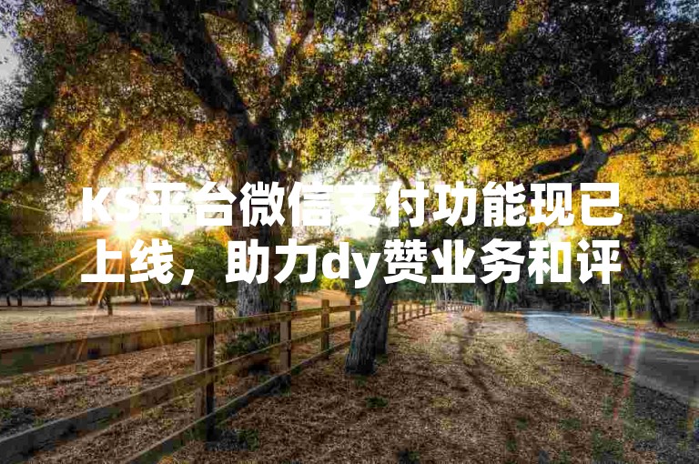KS平台微信支付功能现已上线，助力dy赞业务和评论下单平台，让热血重燃！