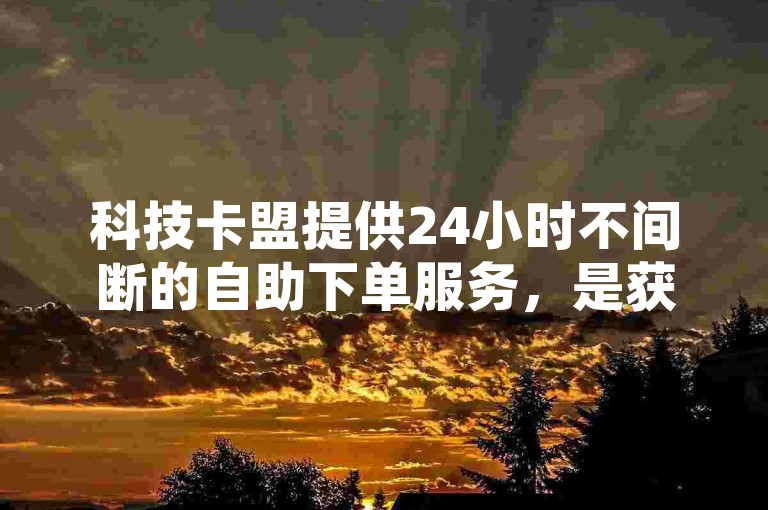 科技卡盟提供24小时不间断的自助下单服务，是获取低价KS业务的优选平台。