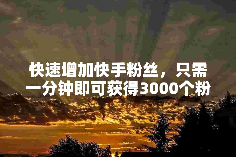 快速增加快手粉丝，只需一分钟即可获得3000个粉丝的服务平台。