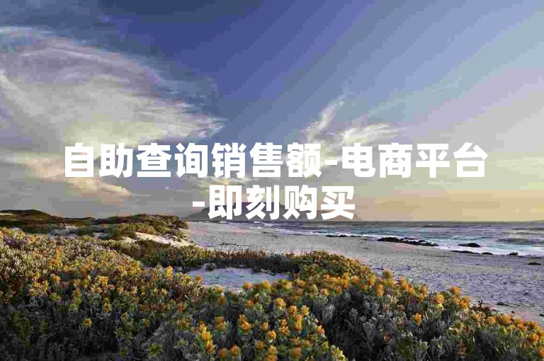 自助查询销售额-电商平台-即刻购买