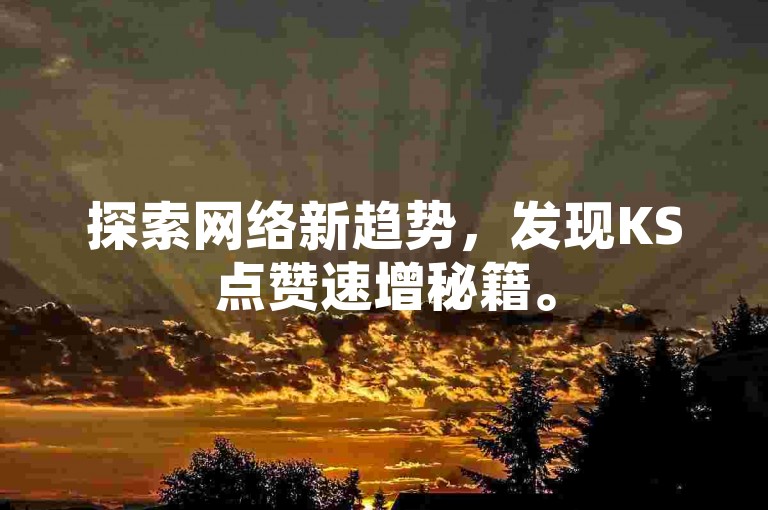 探索网络新趋势，发现KS点赞速增秘籍。
