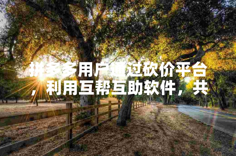 拼多多用户通过砍价平台，利用互帮互助软件，共同享受购物优惠。