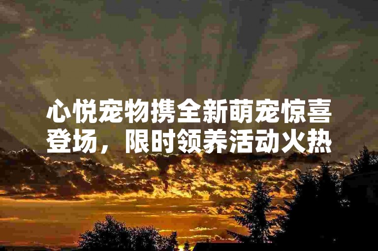 心悦宠物携全新萌宠惊喜登场，限时领养活动火热进行中！