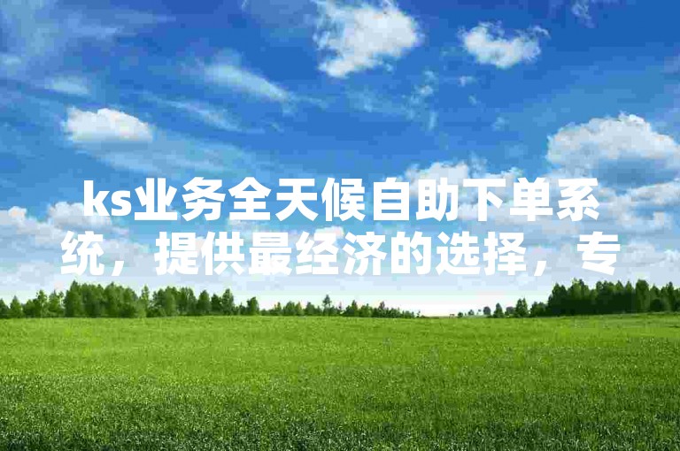 ks业务全天候自助下单系统，提供最经济的选择，专为抖音粉丝打造 - 探索ks免费24小时下单平台的全新体验!