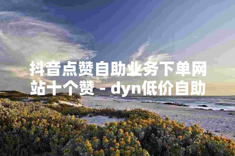 抖音点赞自助业务下单网站十个赞 - dyn低价自助下单网站