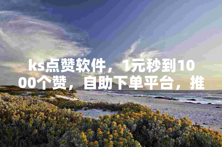 ks点赞软件，1元秒到1000个赞，自助下单平台，推广网站实惠。