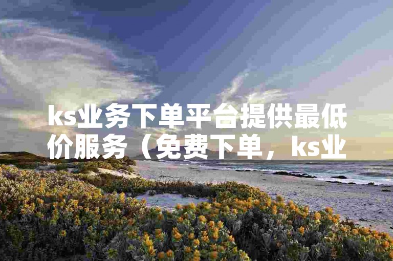 ks业务下单平台提供最低价服务（免费下单，ks业务超值选择）
