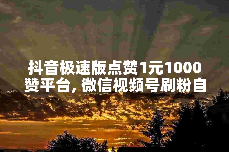 抖音极速版点赞1元1000赞平台, 微信视频号刷粉自助下单网站。