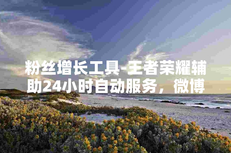粉丝增长工具-王者荣耀辅助24小时自动服务，微博转发全平台下单系统。