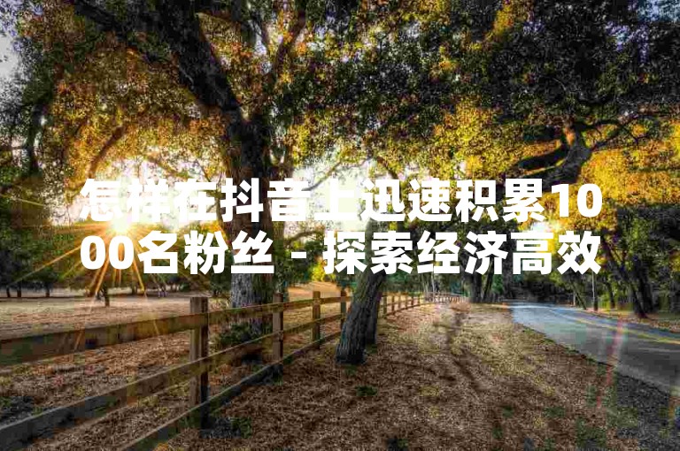 怎样在抖音上迅速积累1000名粉丝 - 探索经济高效的抖音推广策略平台。