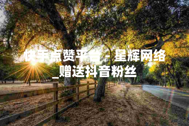 快手点赞平台 - 星辉网络_赠送抖音粉丝