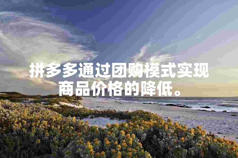 拼多多通过团购模式实现商品价格的降低。