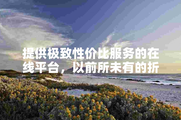 提供极致性价比服务的在线平台，以前所未有的折扣力度吸引用户。