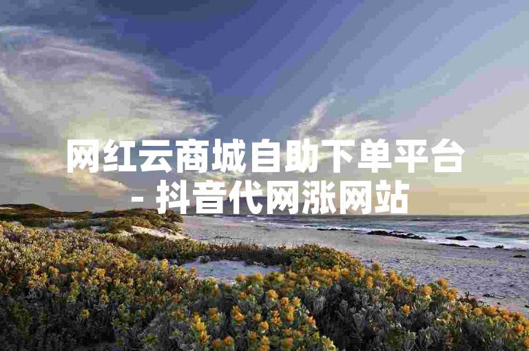 网红云商城自助下单平台 - 抖音代网涨网站