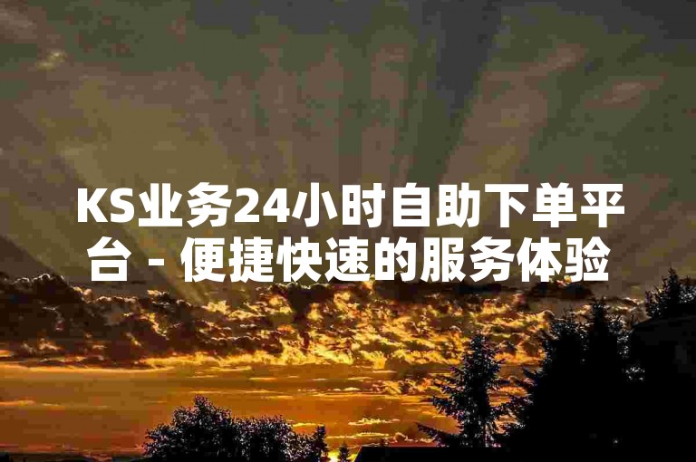 KS业务24小时自助下单平台 - 便捷快速的服务体验
