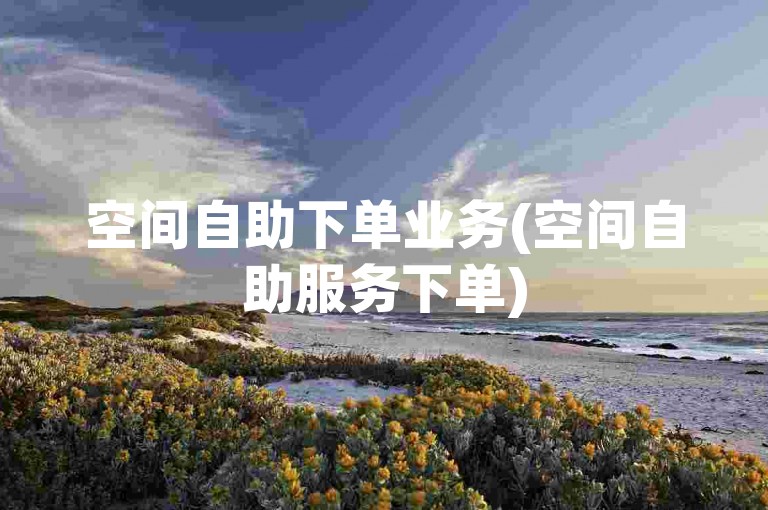 空间自助下单业务(空间自助服务下单)