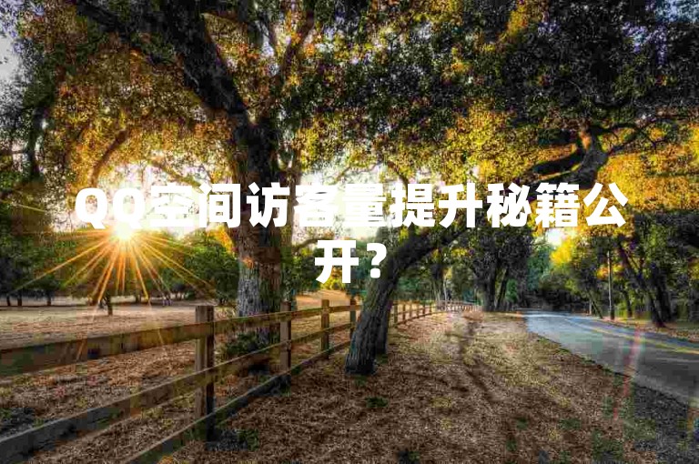 QQ空间访客量提升秘籍公开？