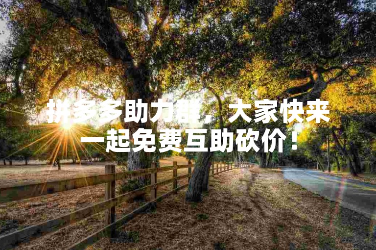 拼多多助力群，大家快来一起免费互助砍价！