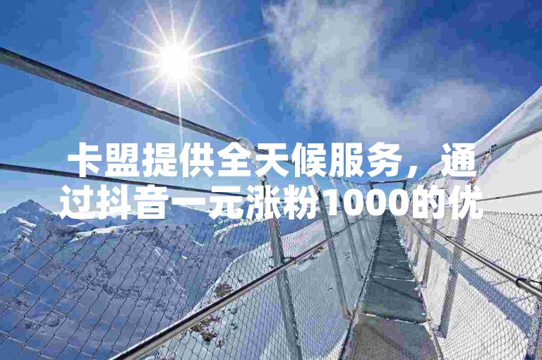 卡盟提供全天候服务，通过抖音一元涨粉1000的优惠暗号，在抖音币充值中心和QQ云商城享受便捷的下单体验。