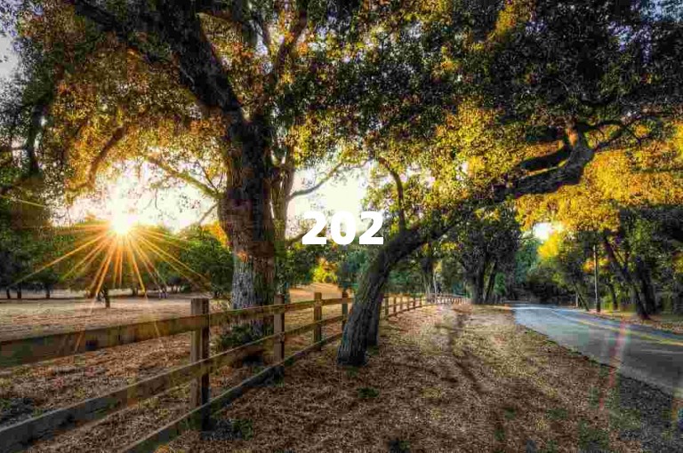 2025拼多多助力群，大家一起来互助！