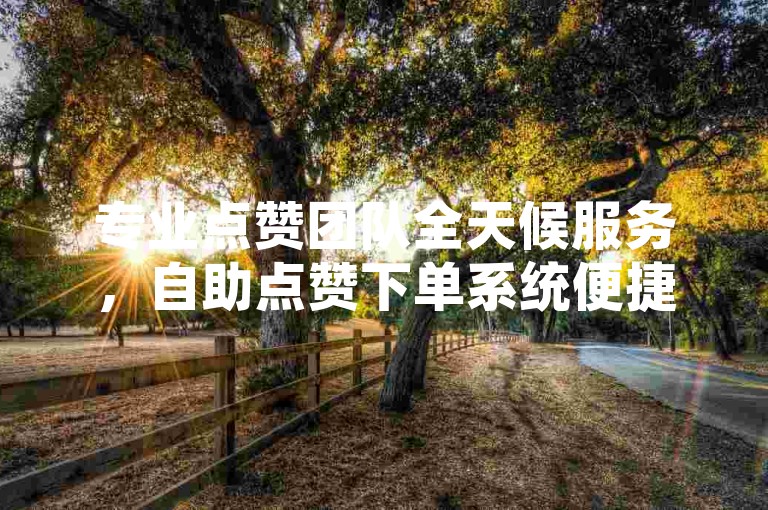 专业点赞团队全天候服务，自助点赞下单系统便捷高效。