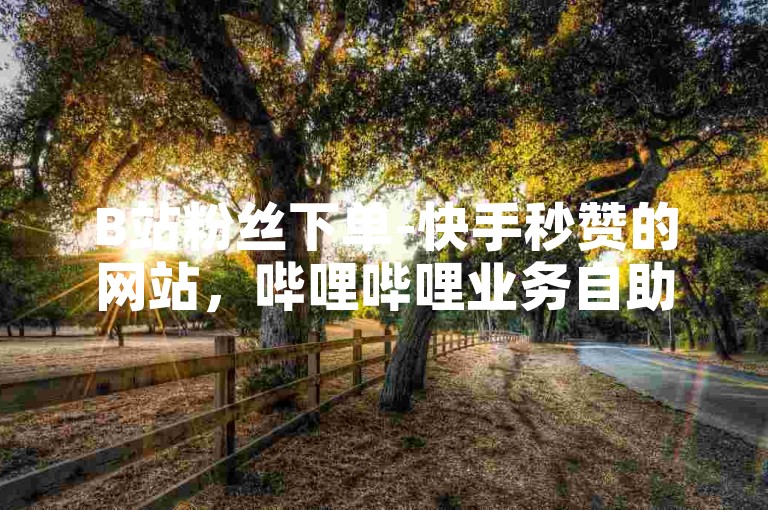 B站粉丝下单-快手秒赞的网站，哔哩哔哩业务自助平台，为您提供便捷的社交媒体推广服务。