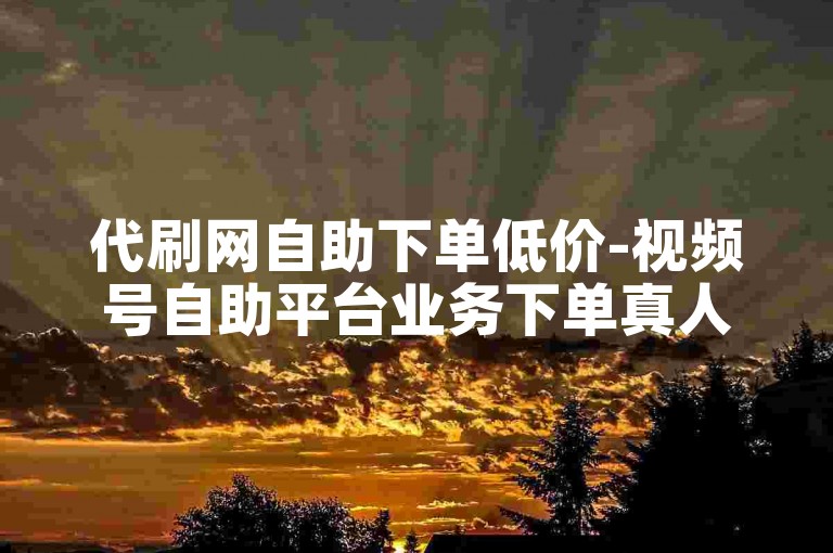 代刷网自助下单低价-视频号自助平台业务下单真人