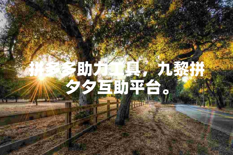 拼多多助力工具，九黎拼夕夕互助平台。