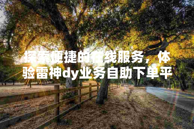 探索便捷的在线服务，体验雷神dy业务自助下单平台带来的高效与专业。