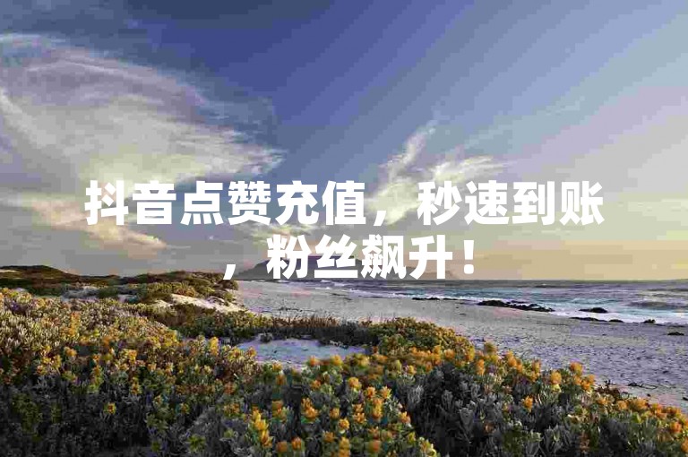 抖音点赞充值，秒速到账，粉丝飙升！