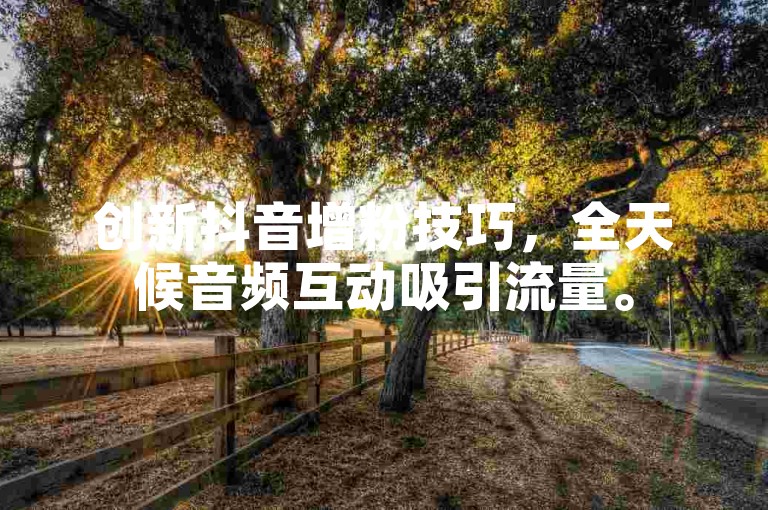 创新抖音增粉技巧，全天候音频互动吸引流量。