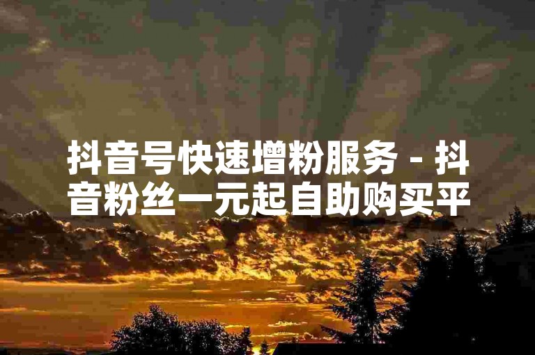 抖音号快速增粉服务 - 抖音粉丝一元起自助购买平台