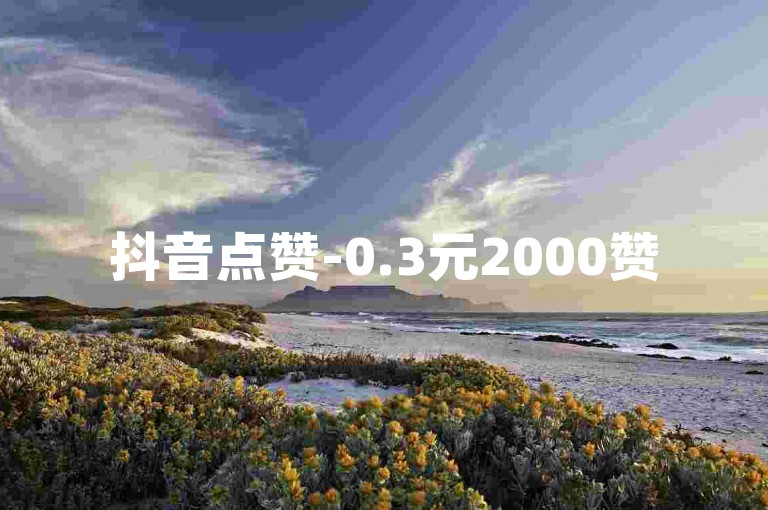 抖音点赞-0.3元2000赞