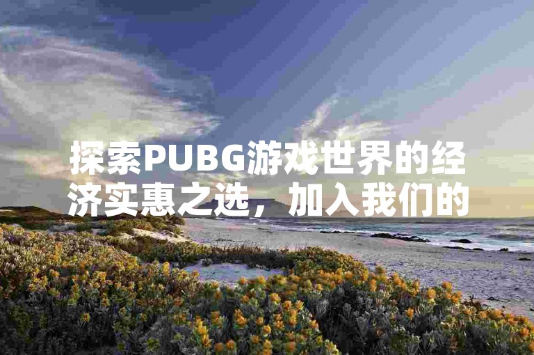 探索PUBG游戏世界的经济实惠之选，加入我们的PUBG特惠卡网交流群。