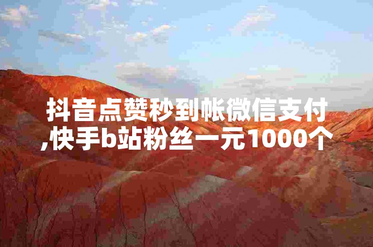 抖音点赞秒到帐微信支付,快手b站粉丝一元1000个活粉 - ks业务一千粉 - 探索无界