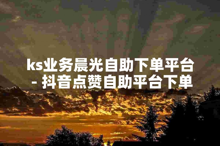 ks业务晨光自助下单平台 - 抖音点赞自助平台下单网站最优惠