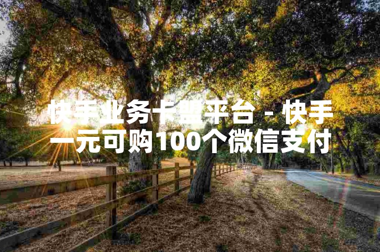 快手业务卡盟平台 - 快手一元可购100个微信支付服务。