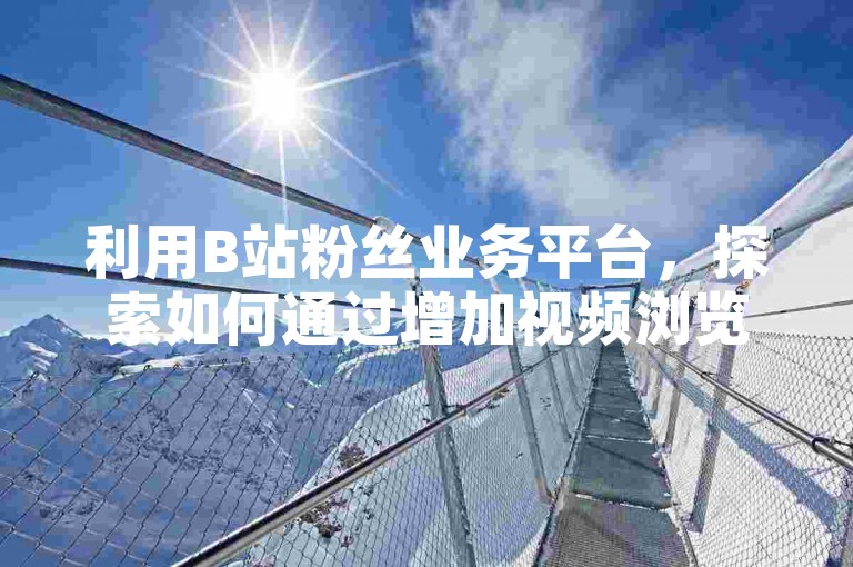 利用B站粉丝业务平台，探索如何通过增加视频浏览量来实现盈利。