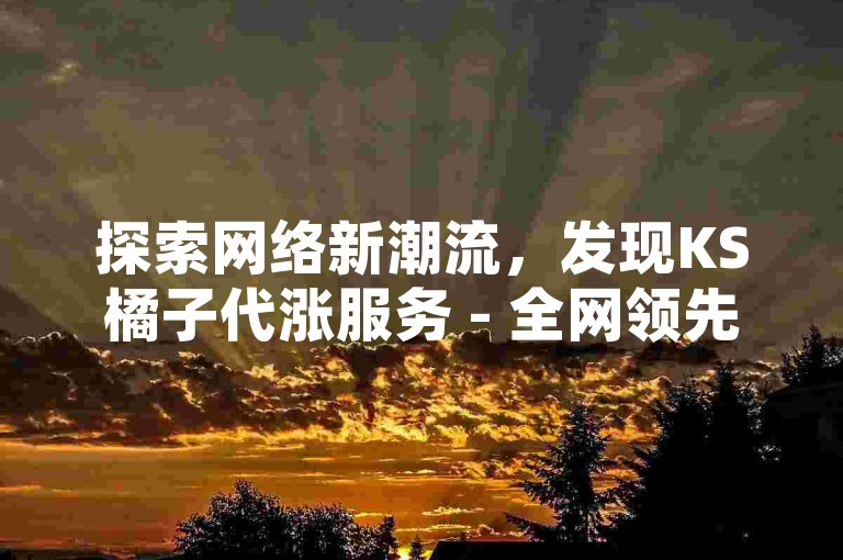 探索网络新潮流，发现KS橘子代涨服务 - 全网领先的刷业务平台，价格之选，雷神助力。