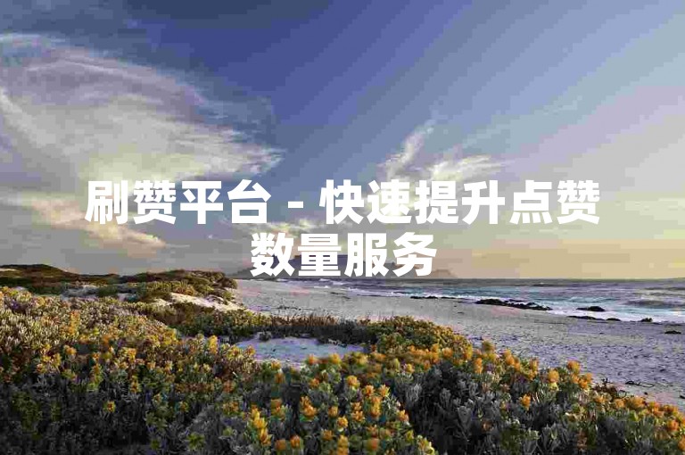 刷赞平台 - 快速提升点赞数量服务