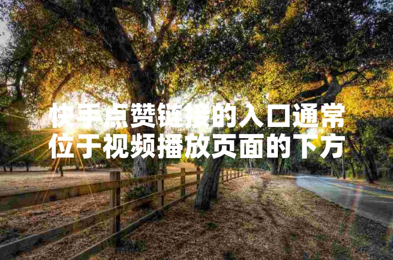 快手点赞链接的入口通常位于视频播放页面的下方或旁边，具体位置可能因版本更新而有所变化。