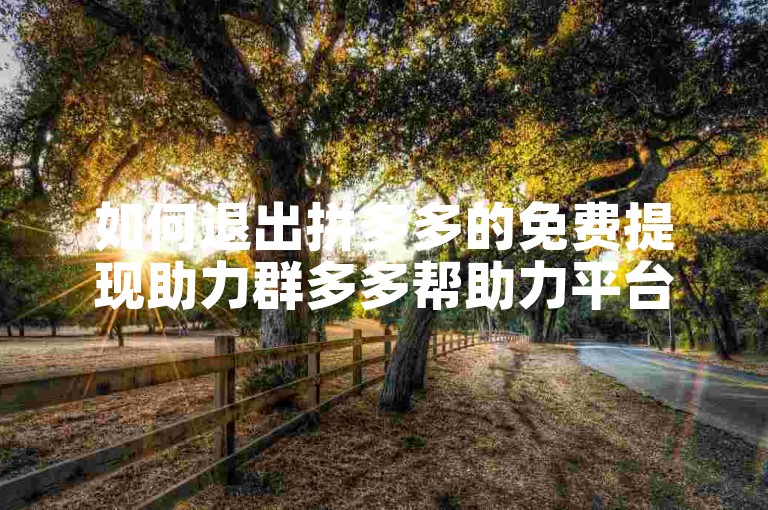 如何退出拼多多的免费提现助力群多多帮助力平台？