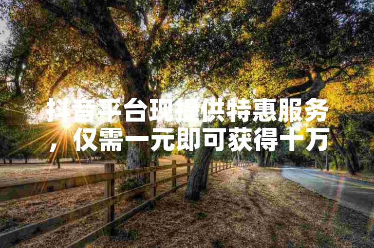 抖音平台现提供特惠服务，仅需一元即可获得十万粉丝的关注量。