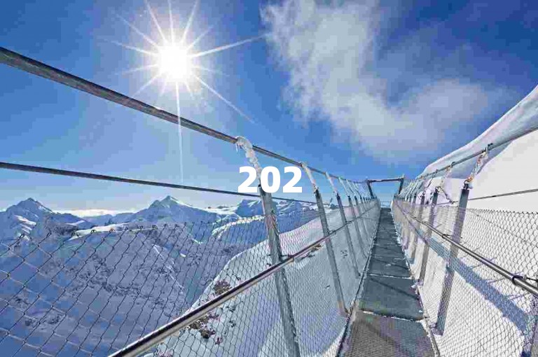 2025年拼多多砍价生成二维码的方法将更加便捷高效。