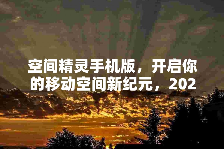 空间精灵手机版，开启你的移动空间新纪元，2025年必备技巧大公开！