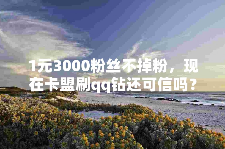 1元3000粉丝不掉粉，现在卡盟刷qq钻还可信吗？网红助手24小时免费下单，卡盟ks在线自助下单低价探索无界。