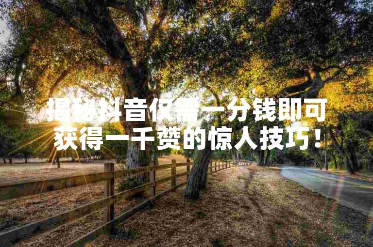 揭秘抖音仅需一分钱即可获得一千赞的惊人技巧！